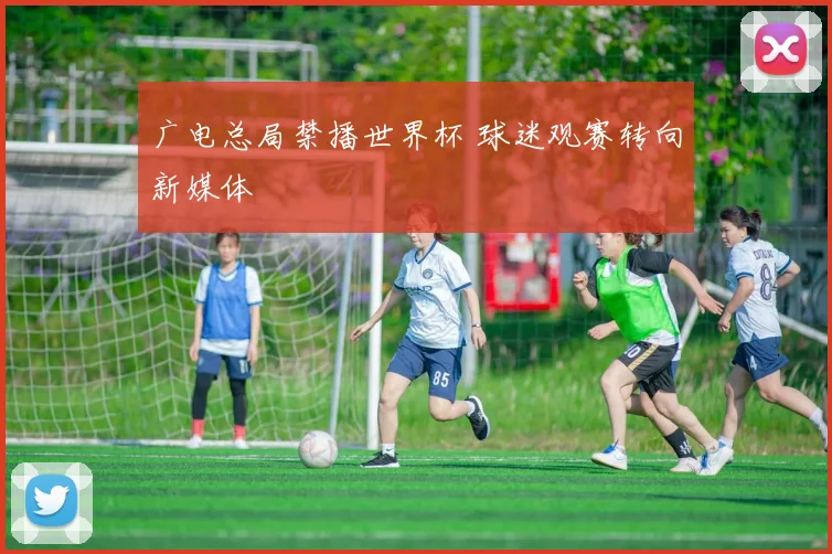 广电总局禁播世界杯 球迷观赛转向新媒体