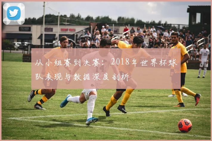 从小组赛到决赛：2018年世界杯球队表现与数据深度剖析