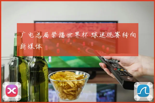 广电总局禁播世界杯 球迷观赛转向新媒体